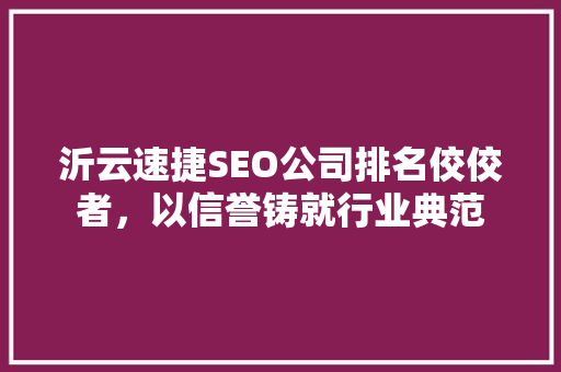 沂云速捷SEO公司排名佼佼者，以信誉铸就行业典范