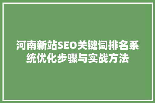 河南新站SEO关键词排名系统优化步骤与实战方法