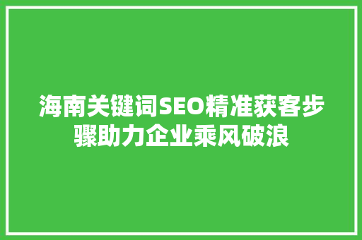 海南关键词SEO精准获客步骤助力企业乘风破浪