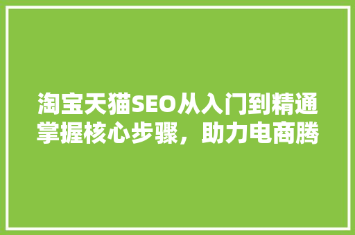 淘宝天猫SEO从入门到精通掌握核心步骤，助力电商腾飞