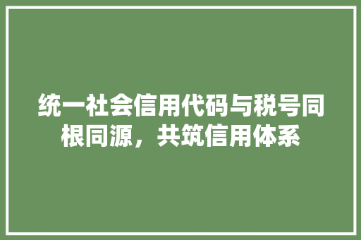 统一社会信用代码与税号同根同源，共筑信用体系