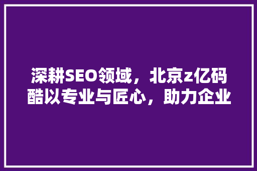 深耕SEO领域，北京z亿码酷以专业与匠心，助力企业互联网营销新高度
