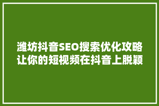 潍坊抖音SEO搜索优化攻略让你的短视频在抖音上脱颖而出