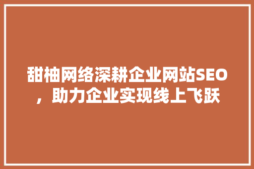 甜柚网络深耕企业网站SEO，助力企业实现线上飞跃