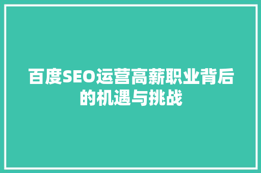百度SEO运营高薪职业背后的机遇与挑战