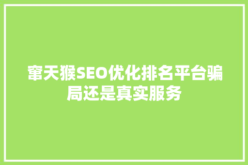 窜天猴SEO优化排名平台骗局还是真实服务