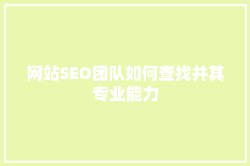 网站SEO团队如何查找并其专业能力