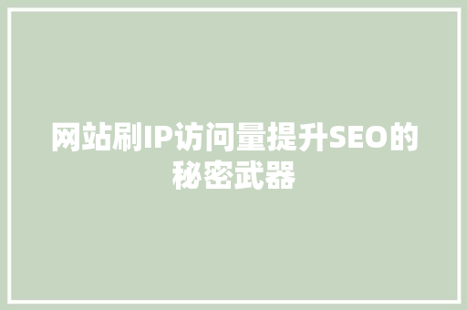 网站刷IP访问量提升SEO的秘密武器