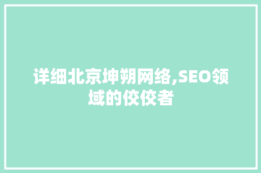 详细北京坤朔网络,SEO领域的佼佼者