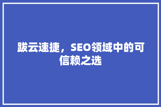跋云速捷，SEO领域中的可信赖之选
