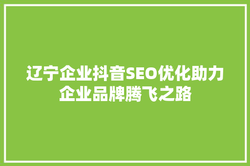 辽宁企业抖音SEO优化助力企业品牌腾飞之路