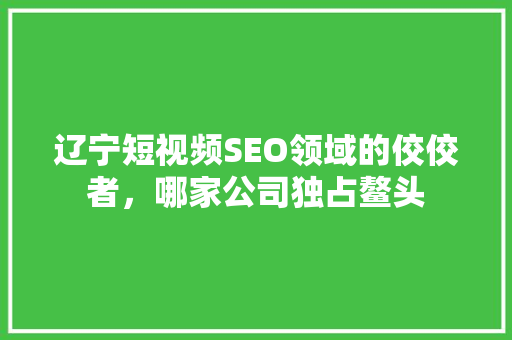 辽宁短视频SEO领域的佼佼者，哪家公司独占鳌头