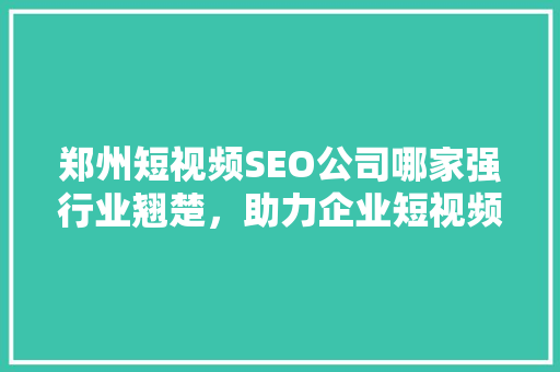 郑州短视频SEO公司哪家强行业翘楚，助力企业短视频营销腾飞