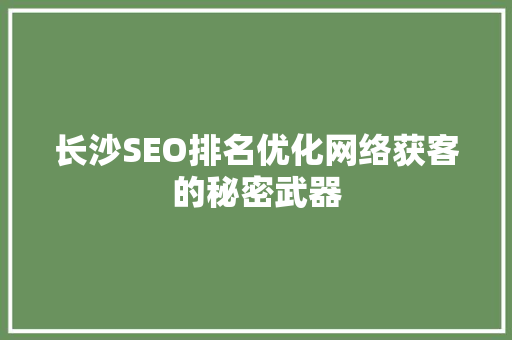 长沙SEO排名优化网络获客的秘密武器