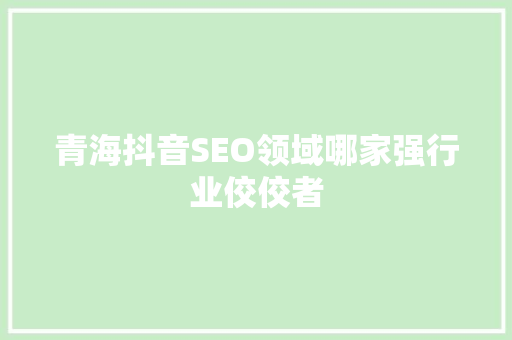青海抖音SEO领域哪家强行业佼佼者