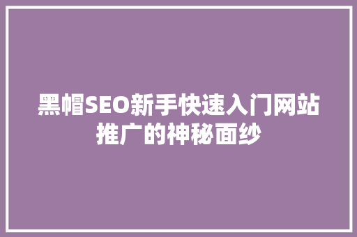 黑帽SEO新手快速入门网站推广的神秘面纱