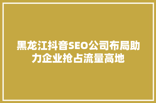 黑龙江抖音SEO公司布局助力企业抢占流量高地