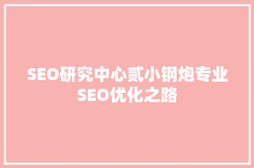 SEO研究中心贰小钢炮专业SEO优化之路