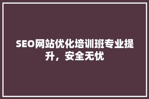 SEO网站优化培训班专业提升，安全无忧