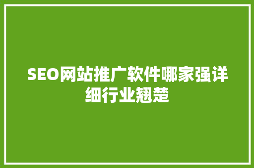 SEO网站推广软件哪家强详细行业翘楚