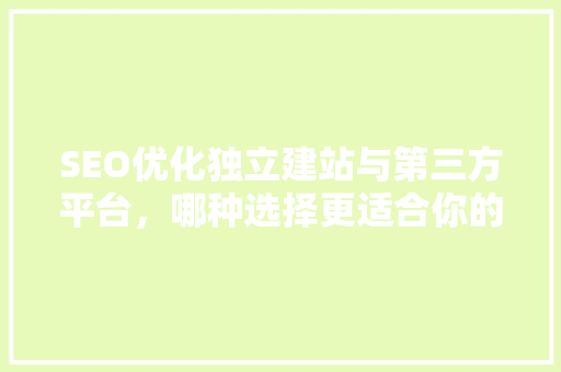 SEO优化独立建站与第三方平台，哪种选择更适合你的业务