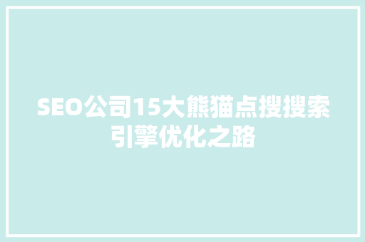 SEO公司15大熊猫点搜搜索引擎优化之路