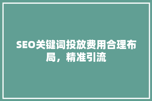 SEO关键词投放费用合理布局，精准引流