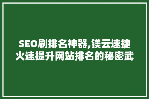 SEO刷排名神器,镁云速捷火速提升网站排名的秘密武器