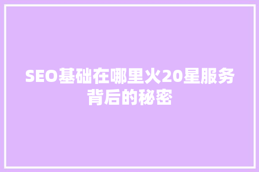 SEO基础在哪里火20星服务背后的秘密