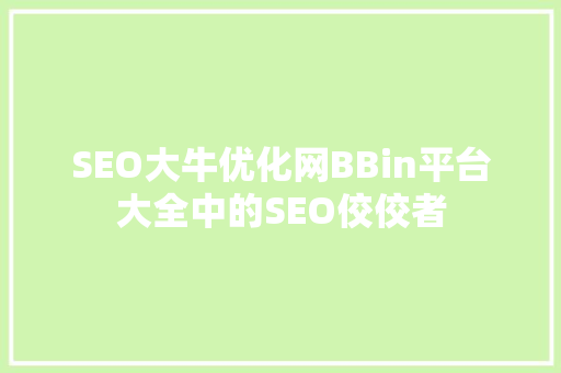 SEO大牛优化网BBin平台大全中的SEO佼佼者