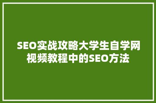SEO实战攻略大学生自学网视频教程中的SEO方法