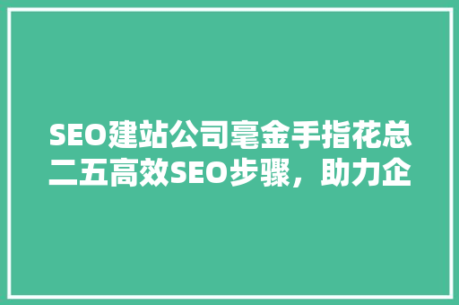 SEO建站公司毫金手指花总二五高效SEO步骤，助力企业腾飞