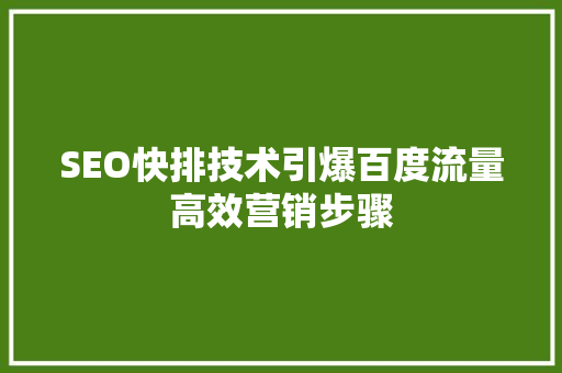 SEO快排技术引爆百度流量高效营销步骤