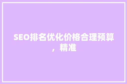 SEO排名优化价格合理预算，精准