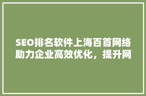 SEO排名软件上海百首网络助力企业高效优化，提升网站流量与排名