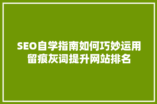 SEO自学指南如何巧妙运用留痕灰词提升网站排名