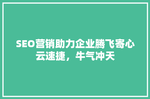 SEO营销助力企业腾飞寄心云速捷，牛气冲天