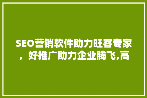 SEO营销软件助力旺客专家，好推广助力企业腾飞,高效推广之路