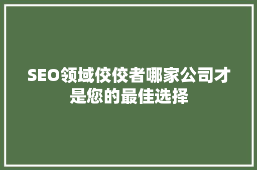 SEO领域佼佼者哪家公司才是您的最佳选择
