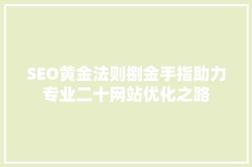 SEO黄金法则捌金手指助力专业二十网站优化之路