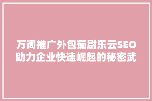 万词推广外包茄尉乐云SEO助力企业快速崛起的秘密武器