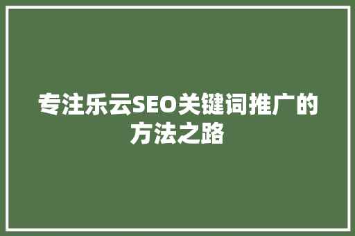 专注乐云SEO关键词推广的方法之路