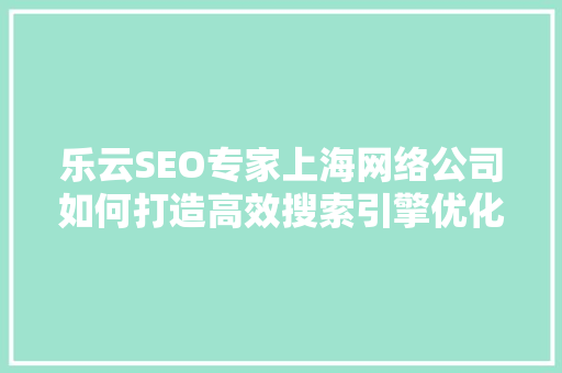 乐云SEO专家上海网络公司如何打造高效搜索引擎优化步骤