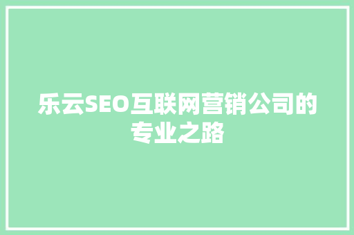 乐云SEO互联网营销公司的专业之路