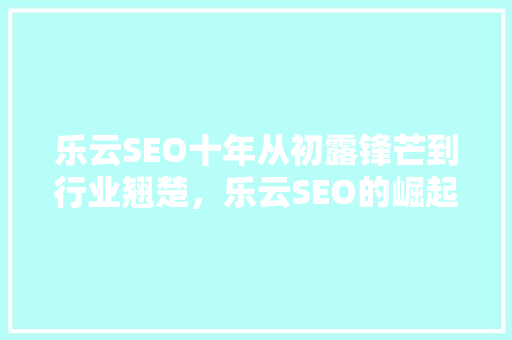 乐云SEO十年从初露锋芒到行业翘楚，乐云SEO的崛起之路