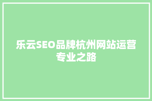 乐云SEO品牌杭州网站运营专业之路