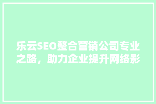 乐云SEO整合营销公司专业之路，助力企业提升网络影响力