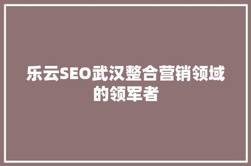 乐云SEO武汉整合营销领域的领军者  第1张