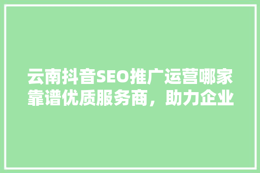云南抖音SEO推广运营哪家靠谱优质服务商，助力企业品牌腾飞
