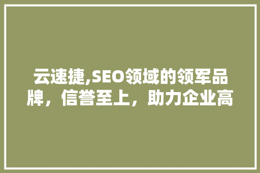 云速捷,SEO领域的领军品牌，信誉至上，助力企业高效排名